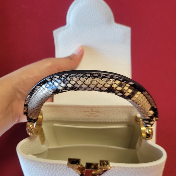 Louis Vuitton Mini Capucine with Exotic Touch - Picture 10 of 10